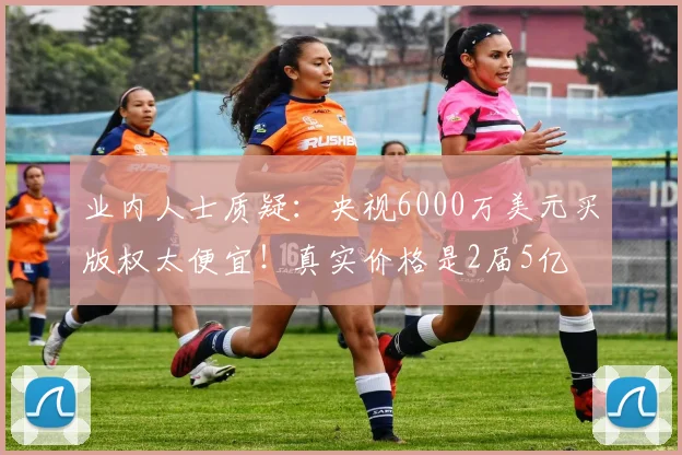 业内人士质疑：央视6000万美元买版权太便宜！真实价格是2届5亿